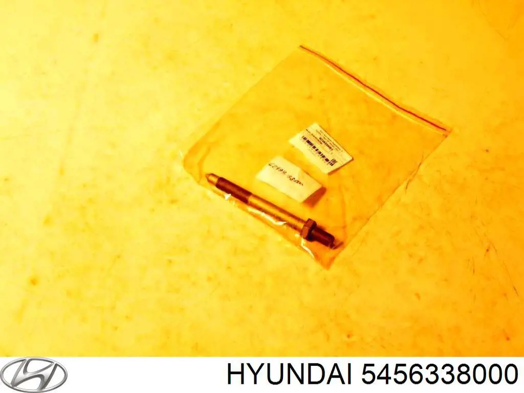  5456338000 Hyundai/Kia