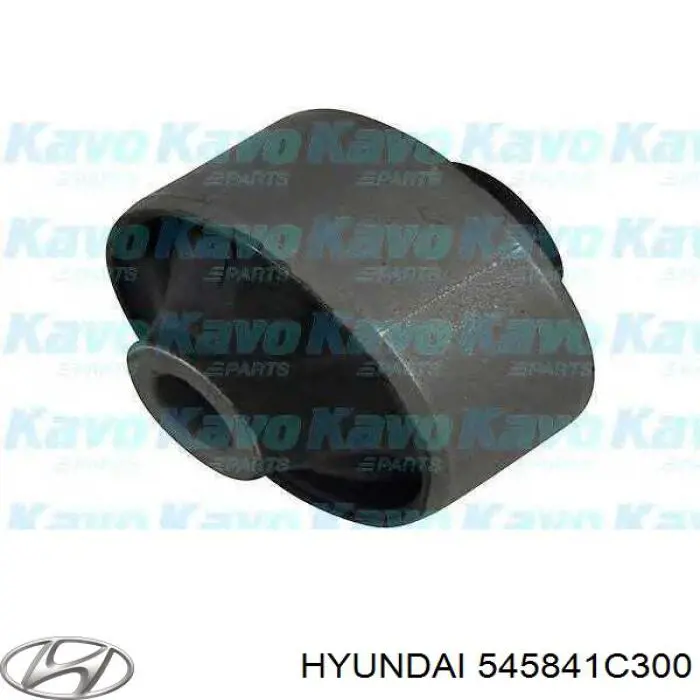 545841C300 Hyundai/Kia Сайлентблок переднього нижнього важеля