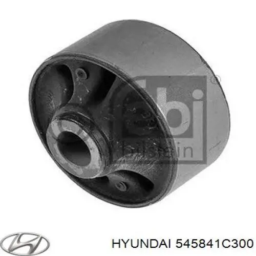 545841C300 Hyundai/Kia сайлентблок переднього нижнього важеля