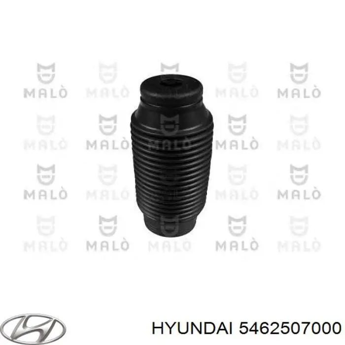 Пильник амортизатора переднього LV5462507000 Market (OEM)
