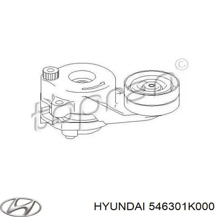 546301K000 Hyundai/Kia Пружина амортизатора передняя