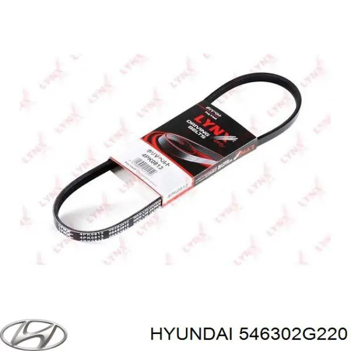 546302G220 Hyundai/Kia Пружина амортизатора передняя