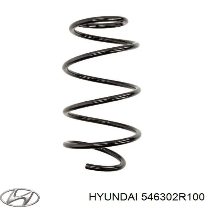 Пружина передня Hyundai/Kia 546302R100 ціна, від 27.78 USD