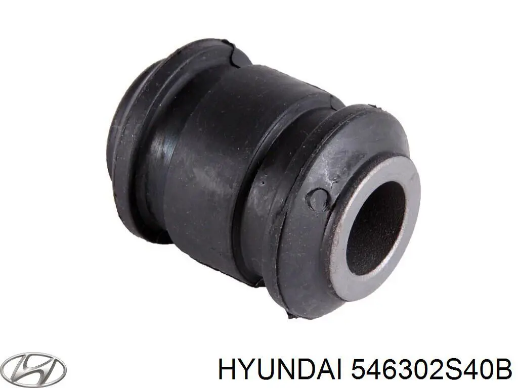 546302S40B Hyundai/Kia Пружина амортизатора передняя