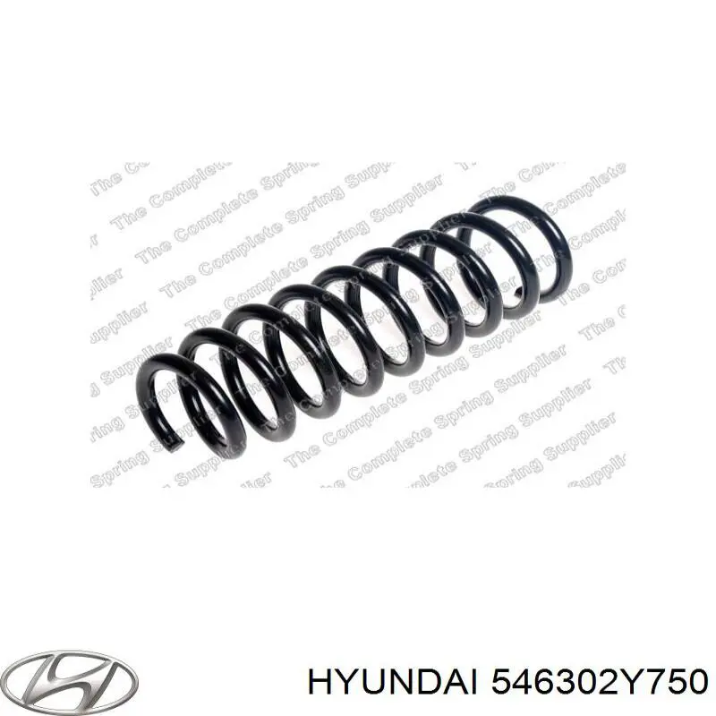 Пружина передня Hyundai/Kia 546302Y750 ціна, від 31.34 USD
