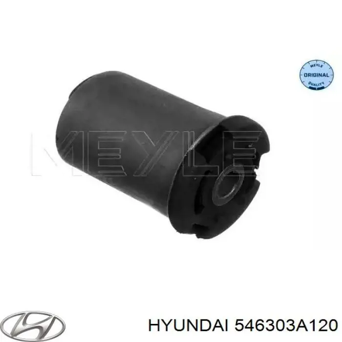 Пружина передня Hyundai/Kia 546303A120DS ціна, від  