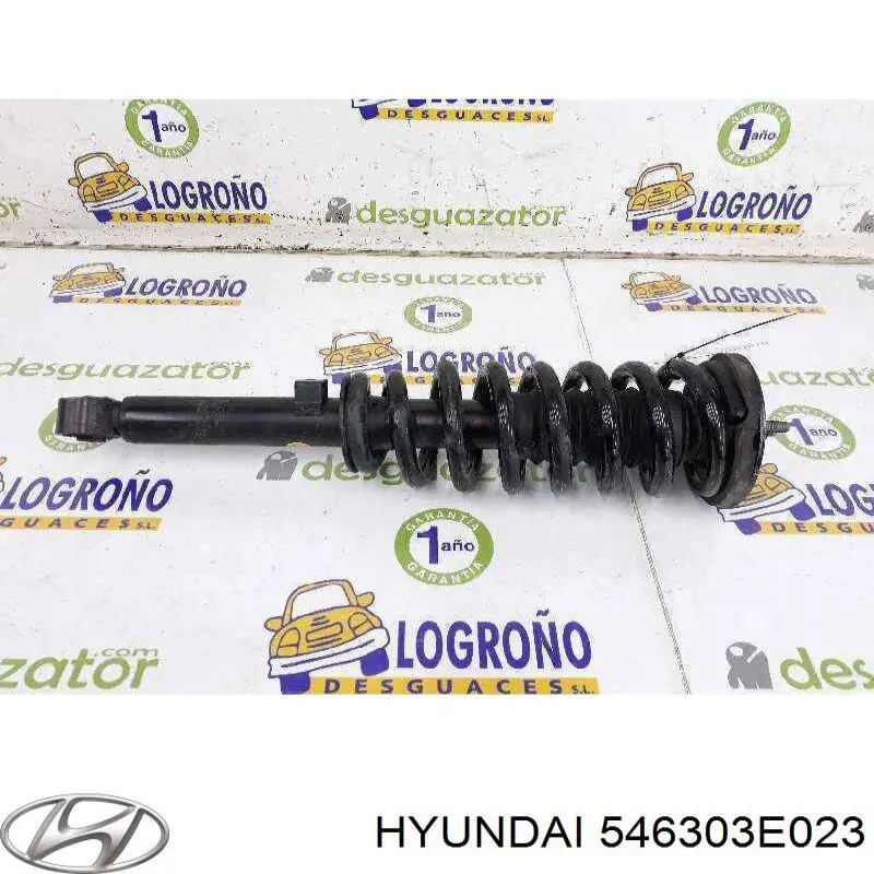 Купити 546303E023 Hyundai/Kia Амортизатора передній лівий