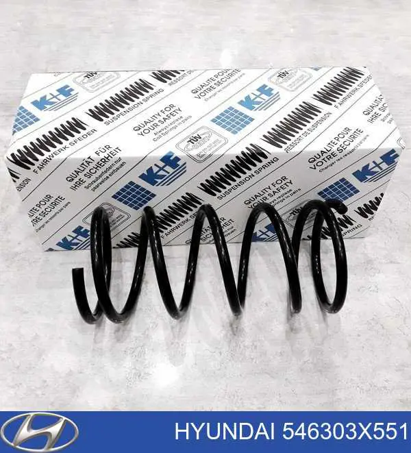 Пружина передня Hyundai/Kia 546303X551 ціна, від 44.75 USD