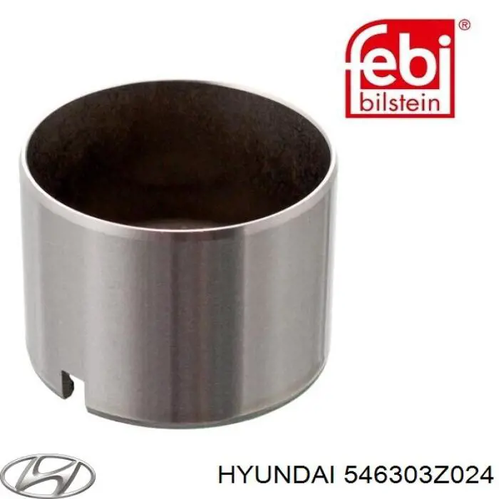 Купити 546303Z024 Hyundai/Kia Гвинтова пружина підвіска