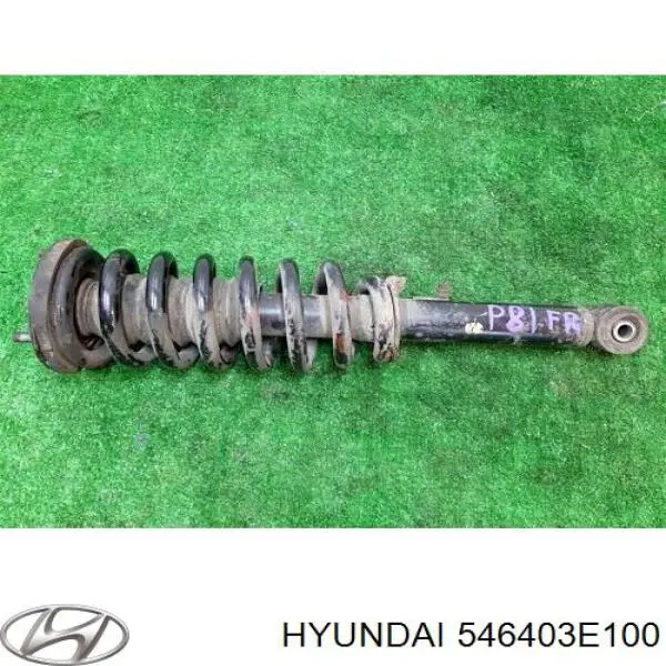 Амортизатор передній, правий 546403E100 Hyundai/Kia