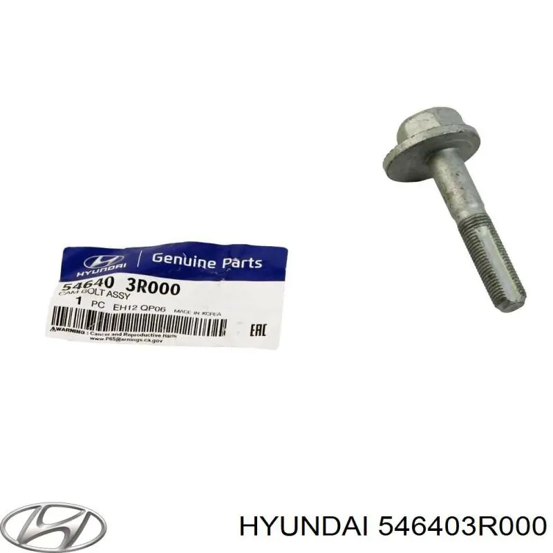Болт кріплення заднього розвального важеля, внутрішній 546403R000 Hyundai/Kia