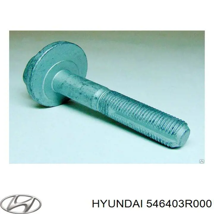 546403R000 Hyundai/Kia Болт кріплення заднього розвального важеля, внутрішній