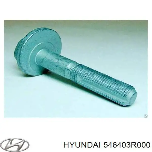 Болт кріплення заднього розвального важеля, внутрішній на Hyundai Azera (11)
