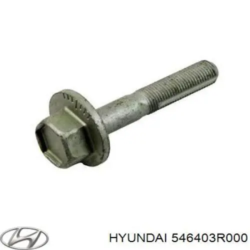 Купити 546403R000 Hyundai/Kia Болт кріплення заднього розвального важеля, внутрішній