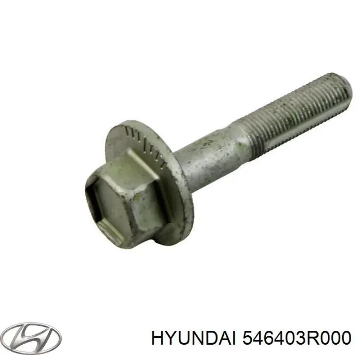 Болт кріплення заднього розвального важеля, внутрішній Hyundai/Kia 546403R000