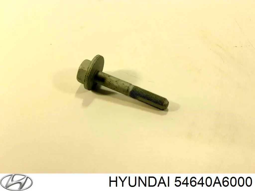 Болт кріплення заднього розвального важеля, внутрішній Hyundai/Kia 54640A6000 ціна, від 8.31 USD