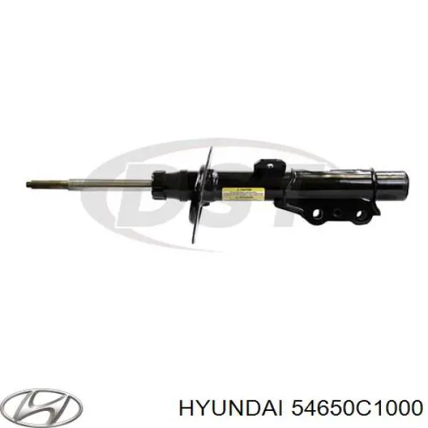 Купити RS546501 Raiso Амортизатора передній лівий
