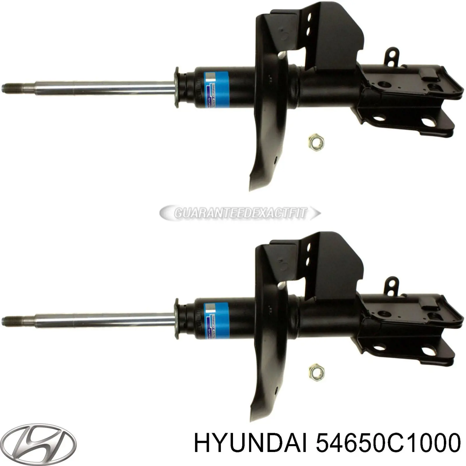 RS546501 Raiso Ліва передня стійка