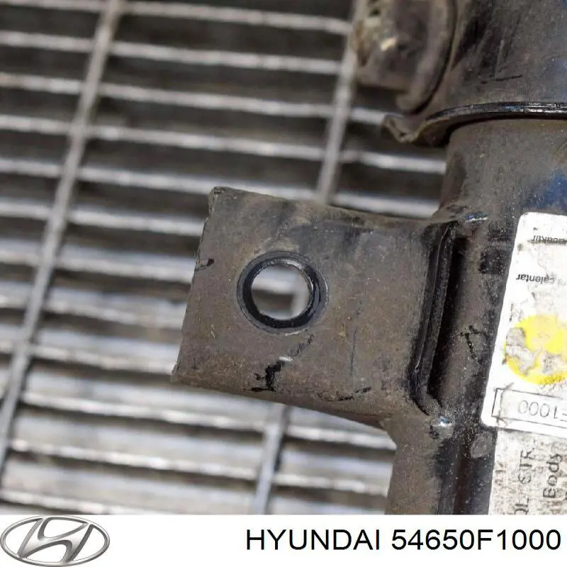 Амортизатор передньої підвіски, лівий Hyundai/Kia 54650F1000 ціна, від 78.60 USD