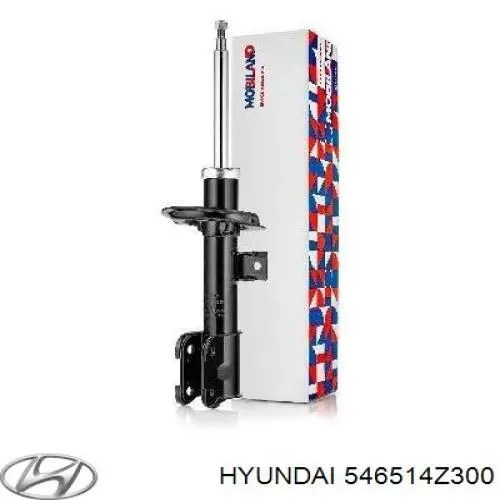 546514Z300 Hyundai/Kia 