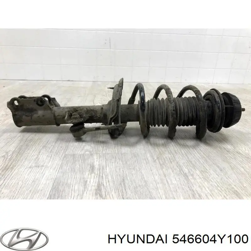 Купити 546604Y100 Hyundai/Kia Амортизатор передній, правий