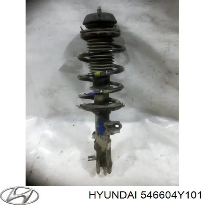 Амортизатор передній, правий Hyundai/Kia 546604Y101 ціна, від 35.91 USD