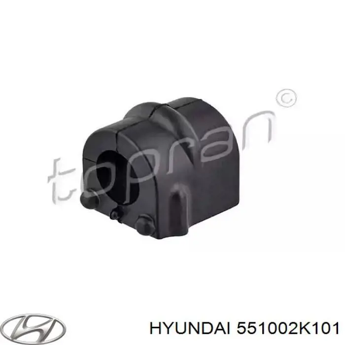 551002K101 Hyundai/Kia Підвіска задня