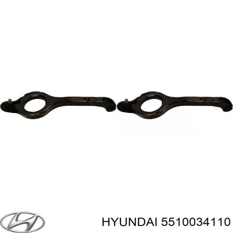  5510034110 Hyundai/Kia