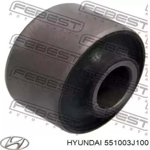 Важіль/тяга задньої підвіски подовжній нижній, лівий/правий Hyundai/Kia 551003J000 ціна, від 85.36 USD