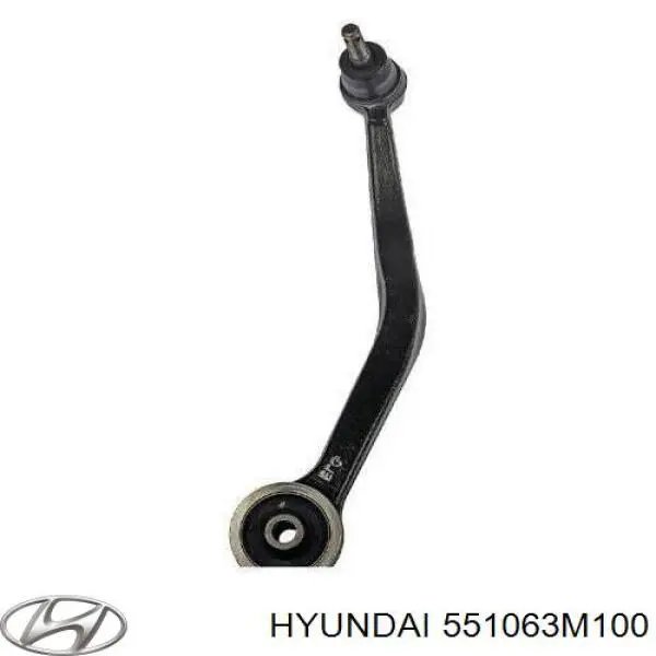 551063M100 Hyundai/Kia Балансир задній правий