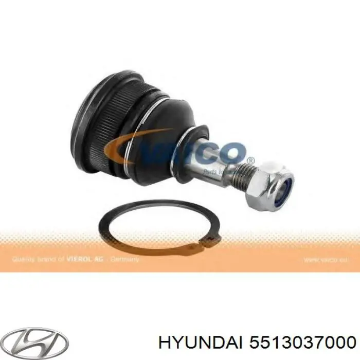 Шарова опора задньої підвіски, нижня Hyundai/Kia 5513034A01