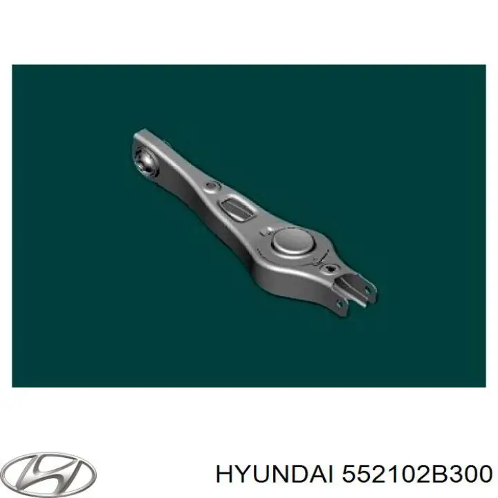 Важіль задньої підвіски поперечний на Hyundai Santa Fe (CM)
