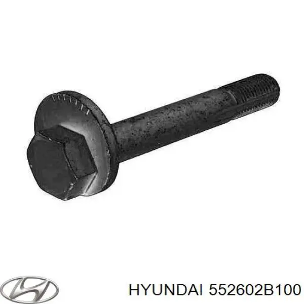 Болт кріплення заднього нижнього важеля, внутрішній Hyundai Santa Fe 2 (CM) (Хендай Санта фе)