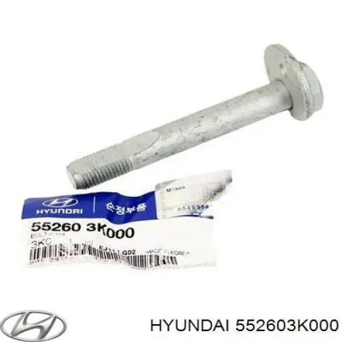 Болт кріплення заднього розвального важеля, внутрішній Hyundai Sonata (NF) (Хендай Соната)