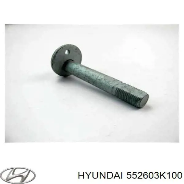 552603K100 Hyundai/Kia болт кріплення заднього нижнього важеля, внутрішній