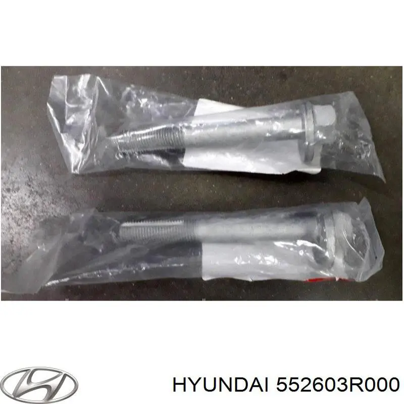 Купити 495320 Maxgear Болт кріплення заднього нижнього важеля, внутрішній