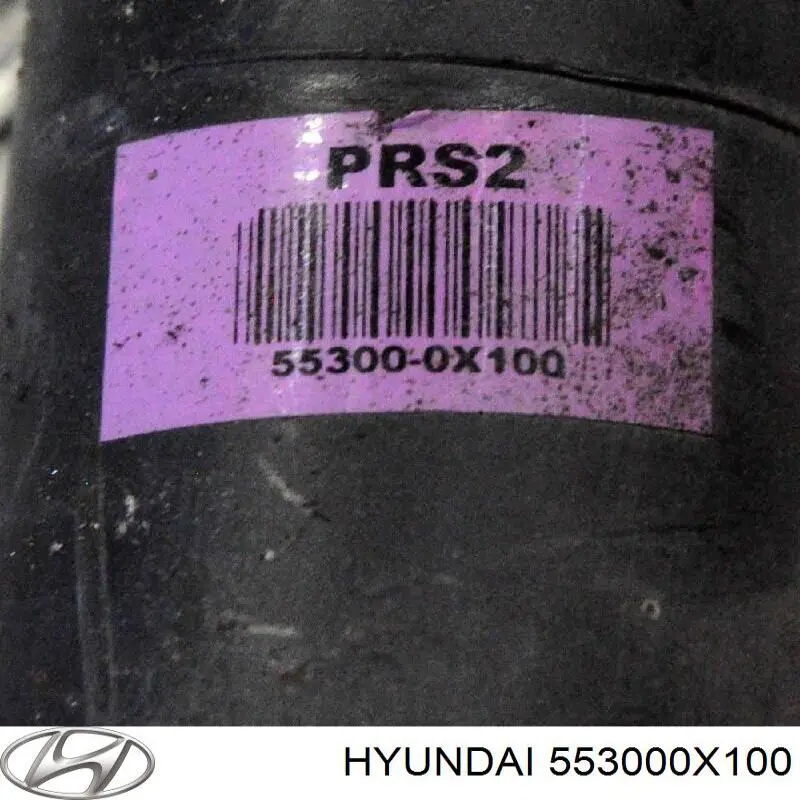 Задній амортизатор Hyundai/Kia 553000X100
