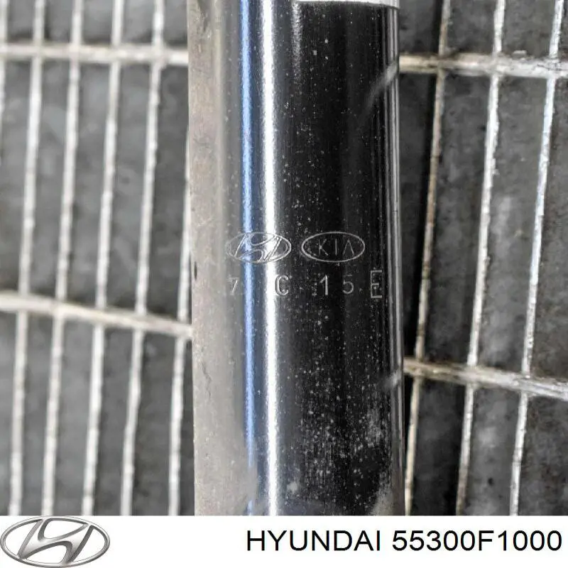  55300F1000 Hyundai/Kia