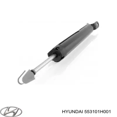 Амортизатор задній 553101H001 Hyundai/Kia