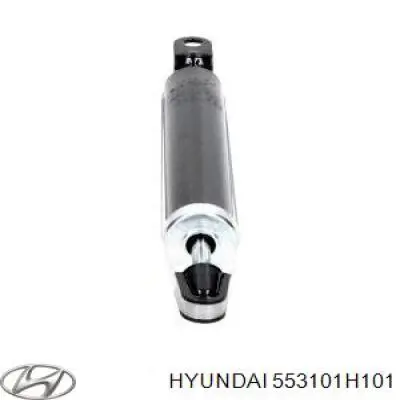 Задній амортизатор Hyundai/Kia 553101H101