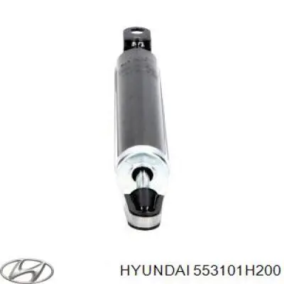 Задній амортизатор Hyundai/Kia 553101H200