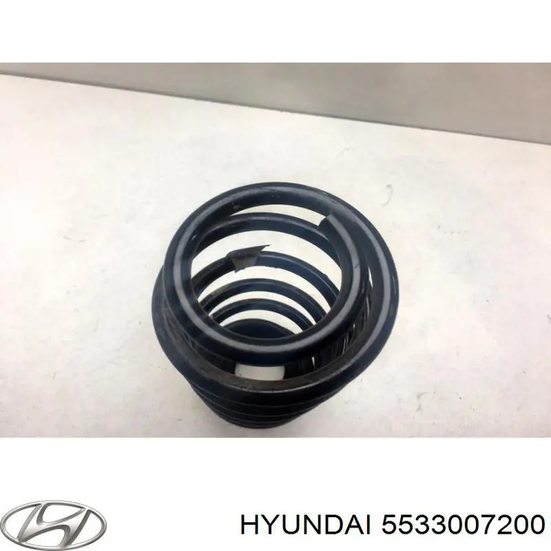 Купити 5533007200 Hyundai/Kia Задні пружини