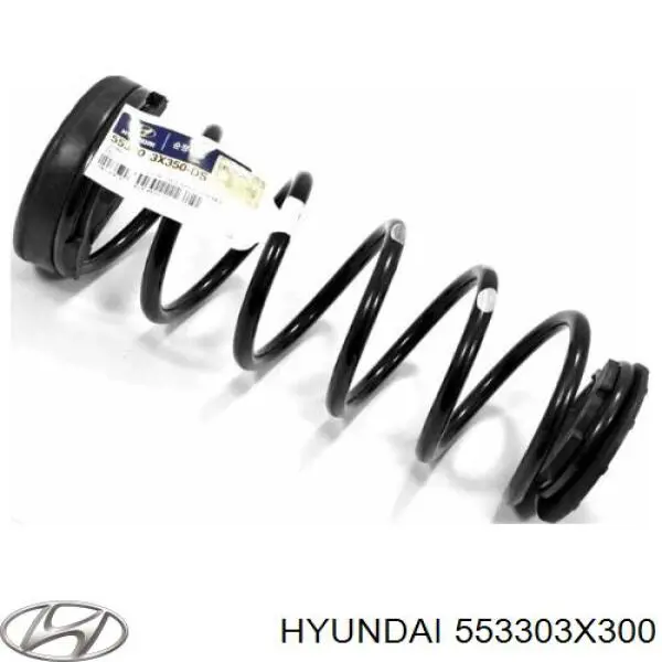 Пружина задня Hyundai/Kia 553303X300 ціна, від 43.54 USD