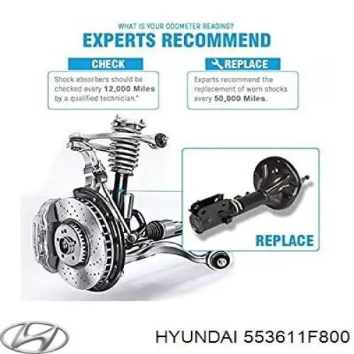 Купити 553611F800 Hyundai/Kia Амортизатор задній, правий