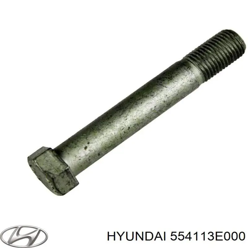 554113E000 Hyundai/Kia Підвіска задня