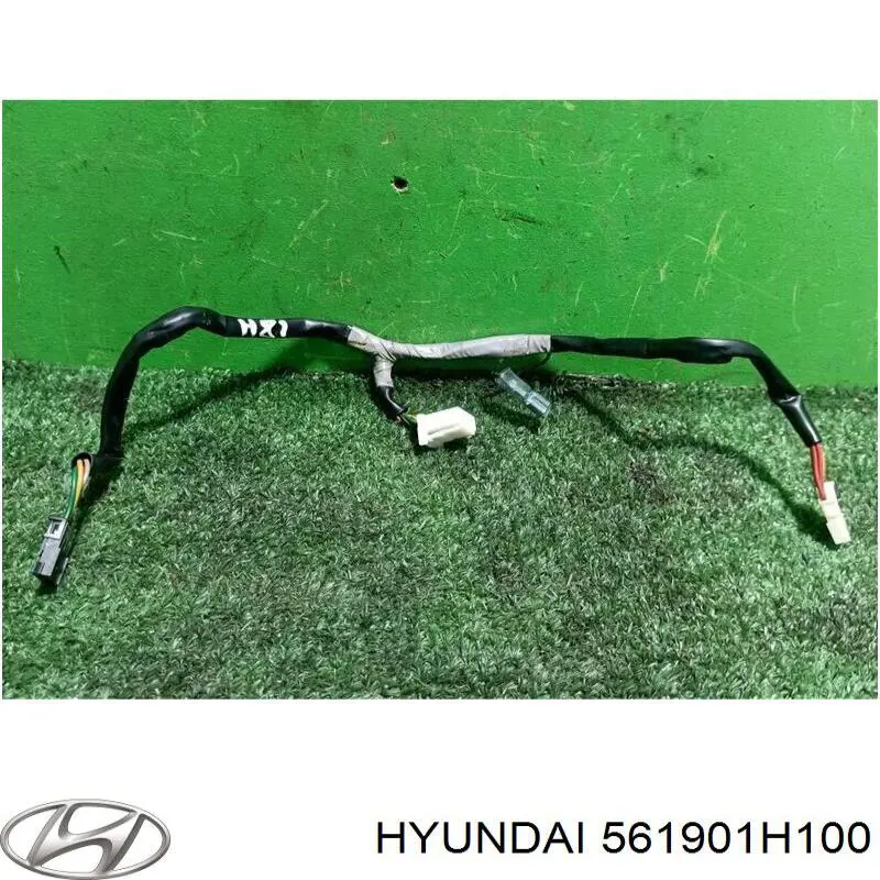  561901H100 Hyundai/Kia