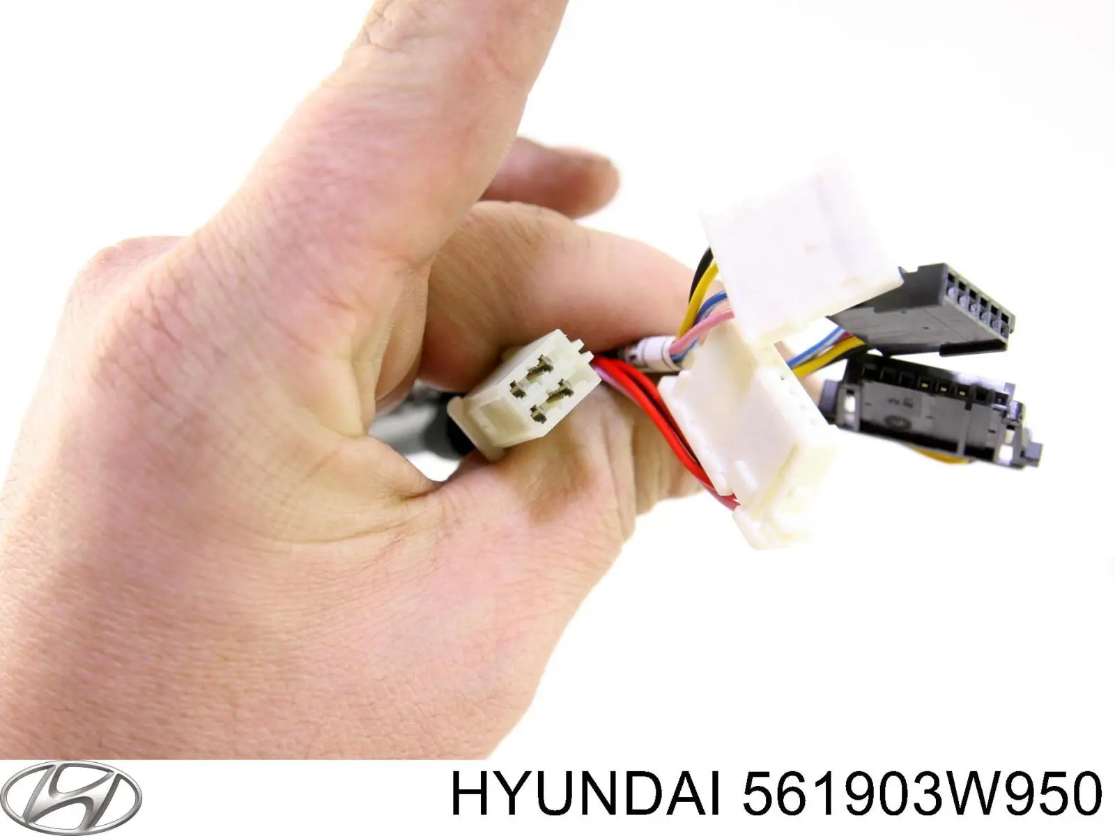 561903W950 Hyundai/Kia 