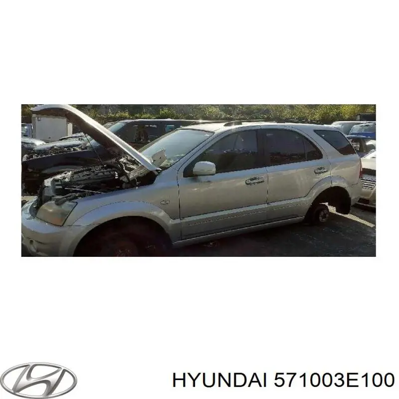 Насос ГПК Hyundai/Kia 571003E100 ціна, від 69.06 USD