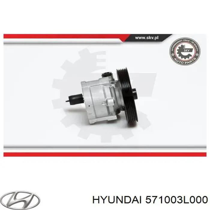 Купити 571003L000 KAP Насос гідравліки