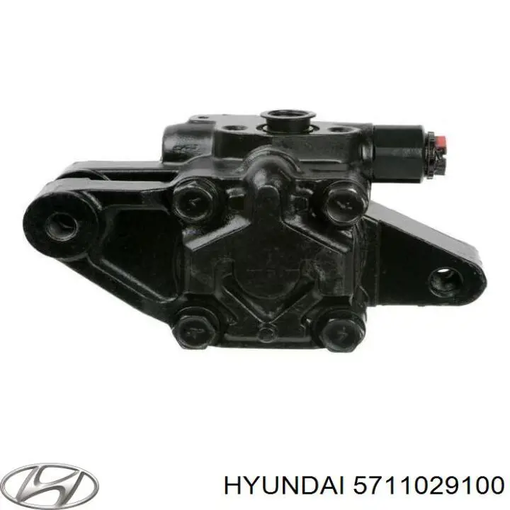 5711029100 Hyundai/Kia Насос гідропідсилювача